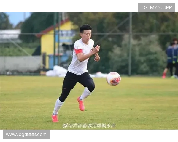 成都篮球队转换体系解析：高效战术与团队协作的完美结合